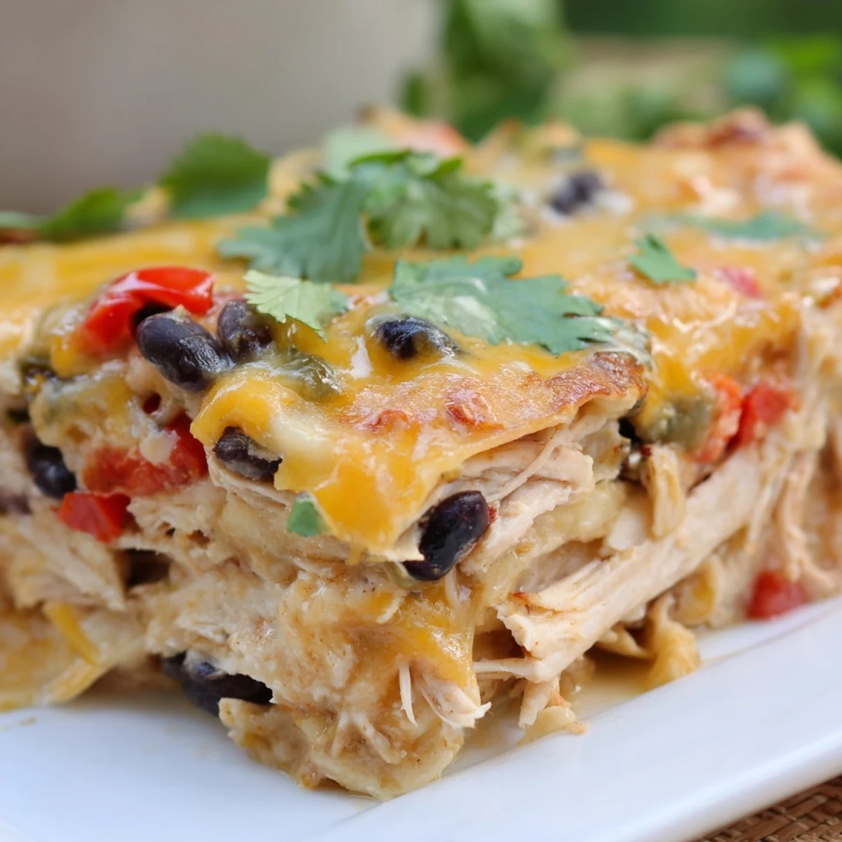Golden bubbly creamy chicken taco lasagna layered with melted cheddar cheese and fresh cilantro garnish in a baking dish